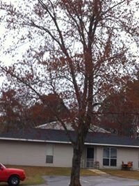 Sayisaran Sathishkumar