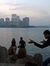 Mayur L...