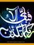 Shabbir...