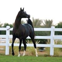 Asma Salsabel eldjana