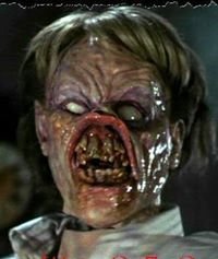 احمد الشاويش