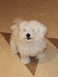 خالد الشهري