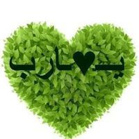 محب المصطفي