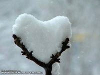 Andrzej Daab-Krzykowski