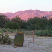 Carolyn Weinzapfel, .