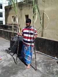 Vaibhav Wickramasinghe