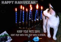 Nechama King
