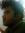 Prasoon...