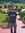 Anurag ...