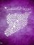 Majed Bak