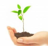 داوود اليافعي