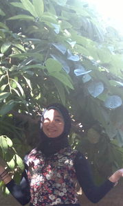Shereen Zaitoun