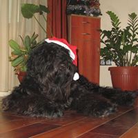 Иванина Михайлова