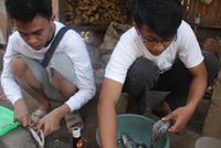 Endang Ray
