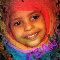 المهندس صخر