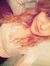 Dalia H...
