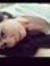 Arely V...