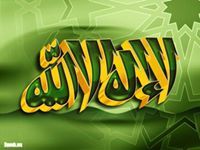 Abdel Mageed