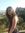 Laila Sh