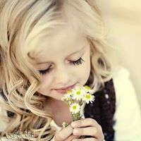 عدسة التاريخ الصغيرة