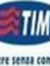 Tim Fla...