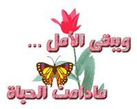 Ahmad Bakir