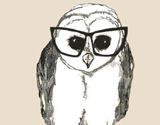 Odd Owly