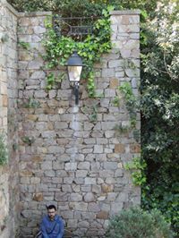 Daniel Clemente buchaca