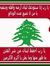 سناء سروجي