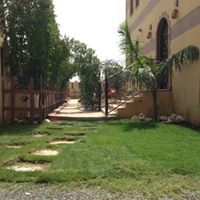 ماجد الشيادي