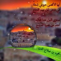 محمود بن صلاح الدين