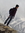 Sohail
