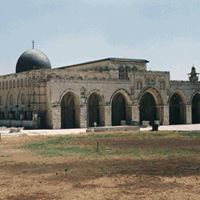 هاني الخولي