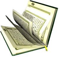 أبو عبد