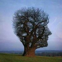 Tamilmaran Elangovan