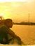 Hasitha...