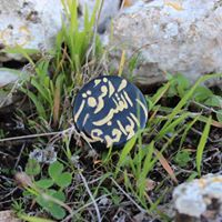 تمرة الأحباب