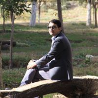 Mohammad Hadi