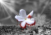 أ.سعاد محمد السيد