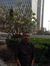 Abdelrh...
