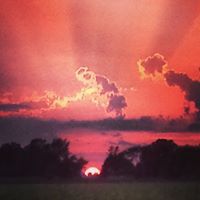 Anne Wynn Weissinger