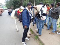 Sai Dinesh