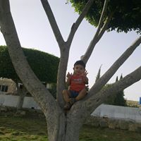 Banan Alaloush