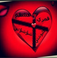 زهرة فلسطين