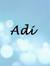 Adnan Adi