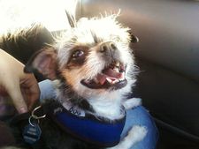 Maggie