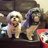 Beckie Carter-patrick