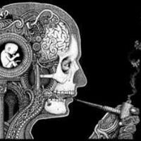 منصور مبارك