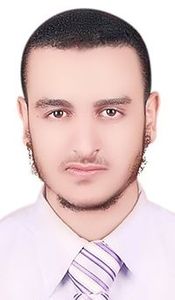 محمد حسين عبدالمجيد
