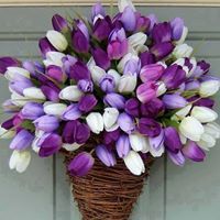 المدربة نعمات